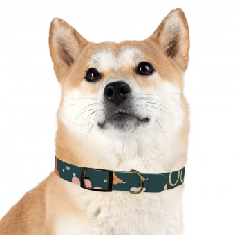 CoolPaws Dog Collar